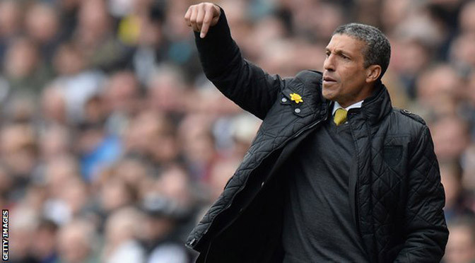 Championship: Chris Hughton named new Brighton & Hove Albion manager